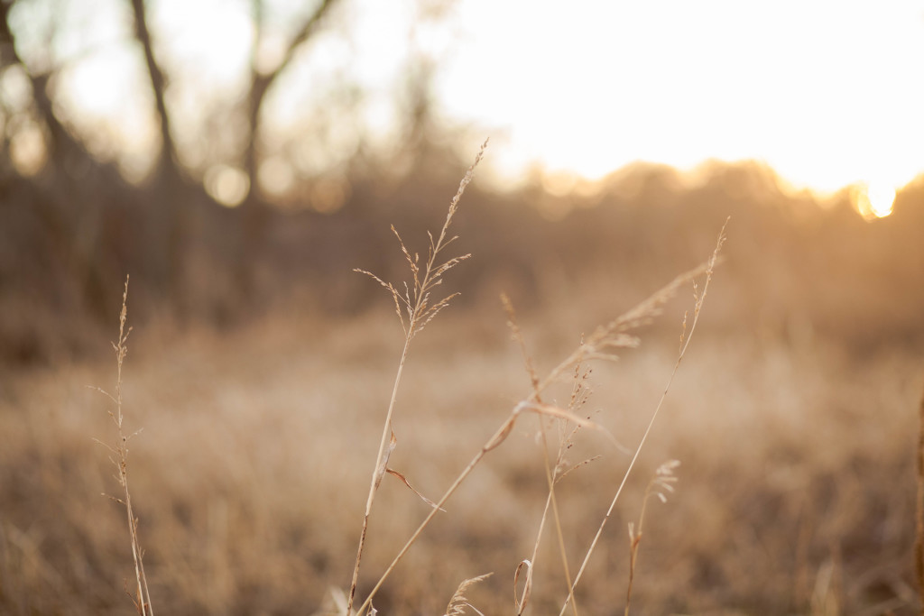 Unruh | 12.04.15 | emilynicolephoto.com-56