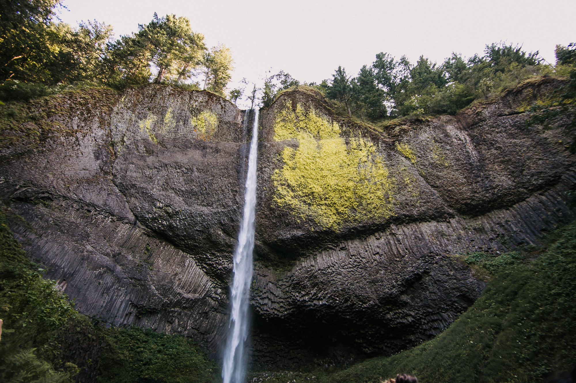 Columbia River Gorge Latourell Falls Elopement Pictures by Emily Nicole Photo